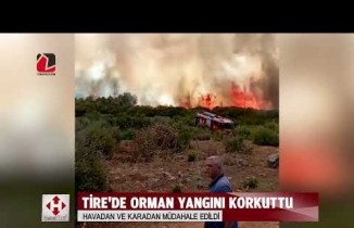 Tire’de orman yangını: 30 dönüm alan küle döndü